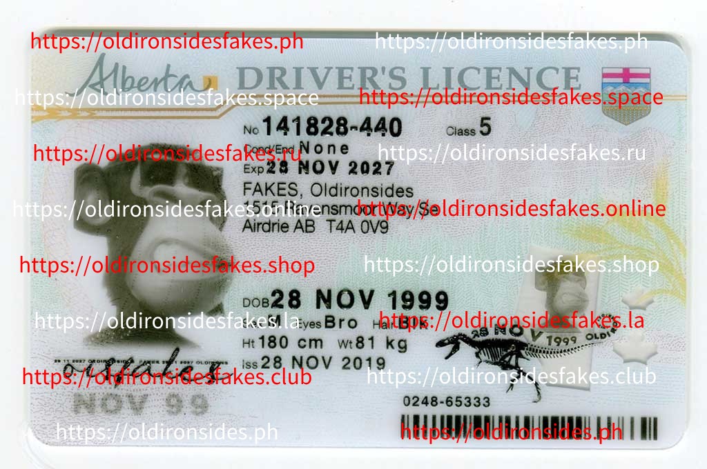 How to Identify High-Quality Fake IDs - OldIronsidesFakes